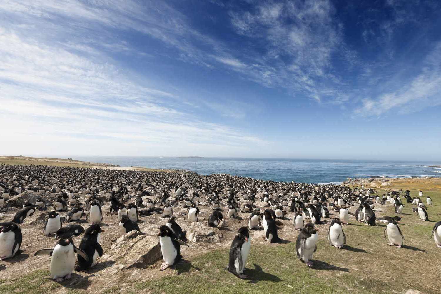 12-facts-about-falkland-islands