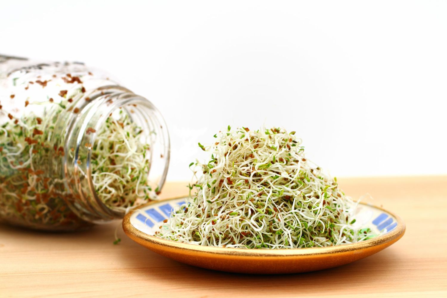13-facts-about-alfalfa-sprouts