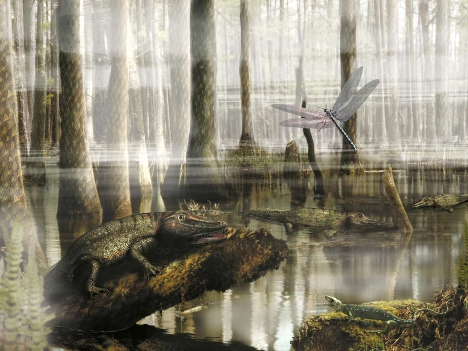 13-facts-about-carboniferous