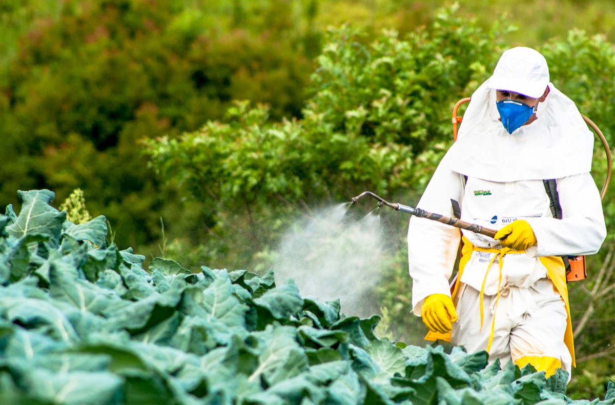 15-facts-about-pesticides