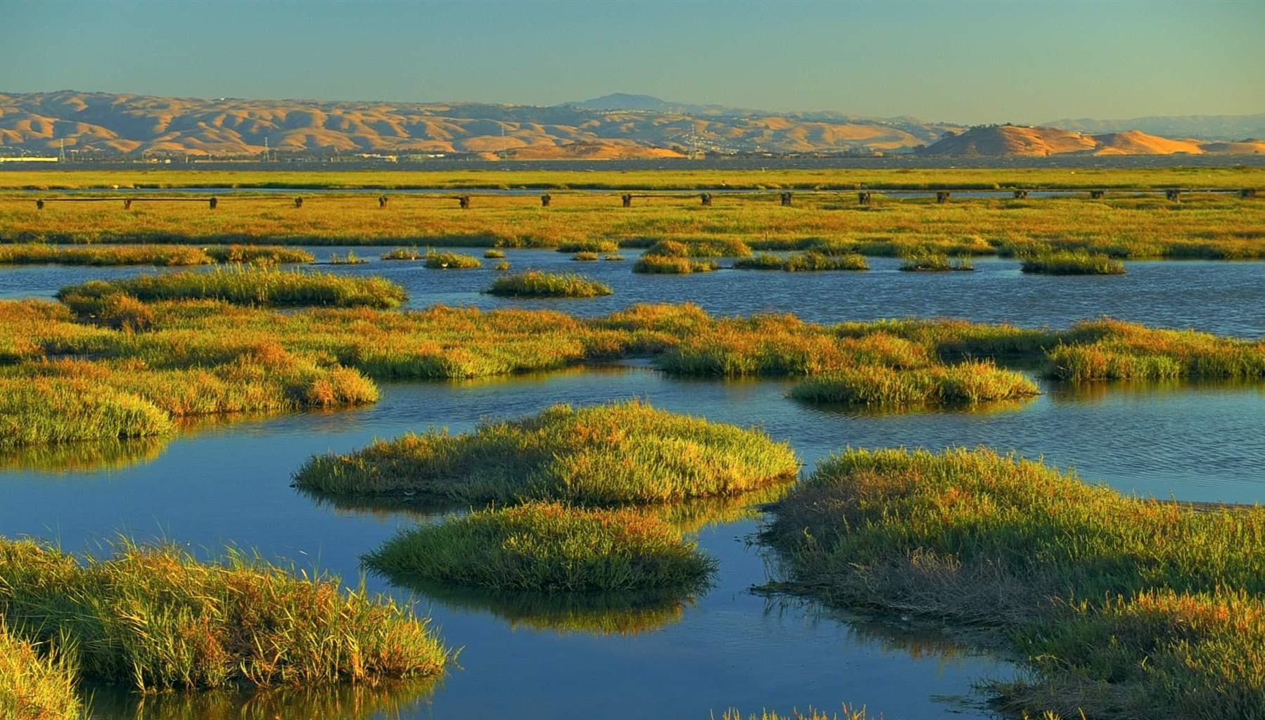 18-facts-about-wetlands