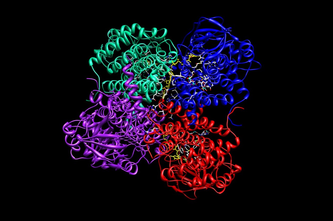 20-facts-about-acyl-coa-dehydrogenase-deficiency