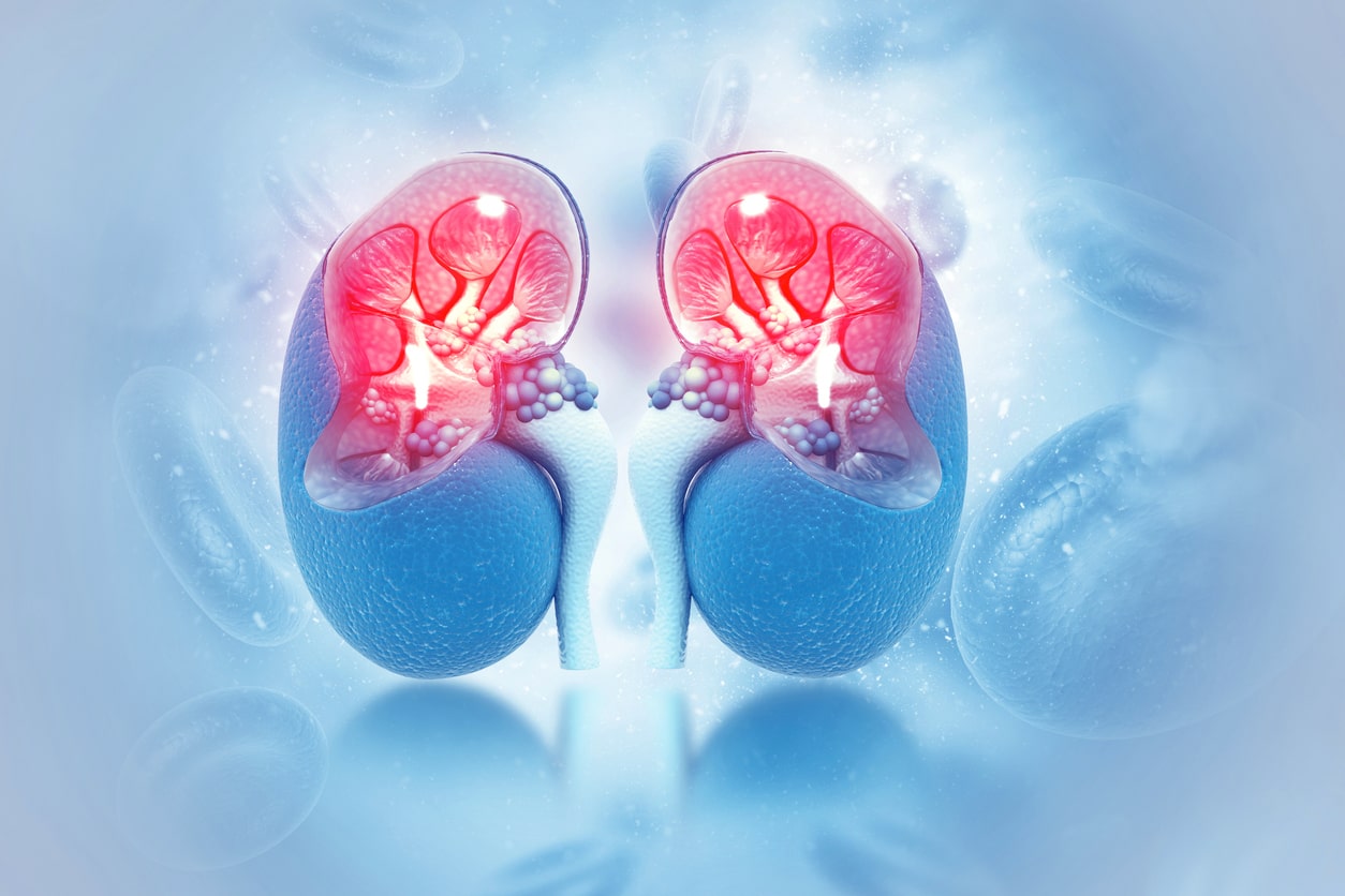 20-facts-about-adrenal-disorder