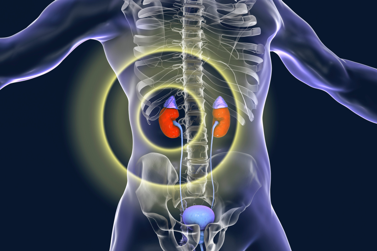 20-facts-about-adrenal-gland-hyperfunction