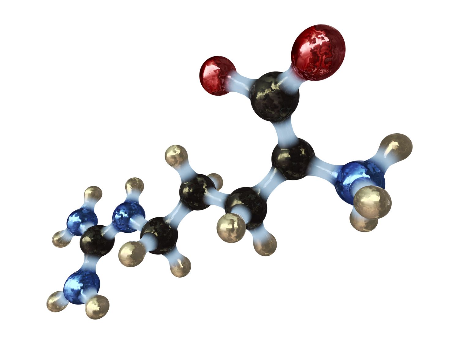 20-facts-about-amphiprotic-solvent