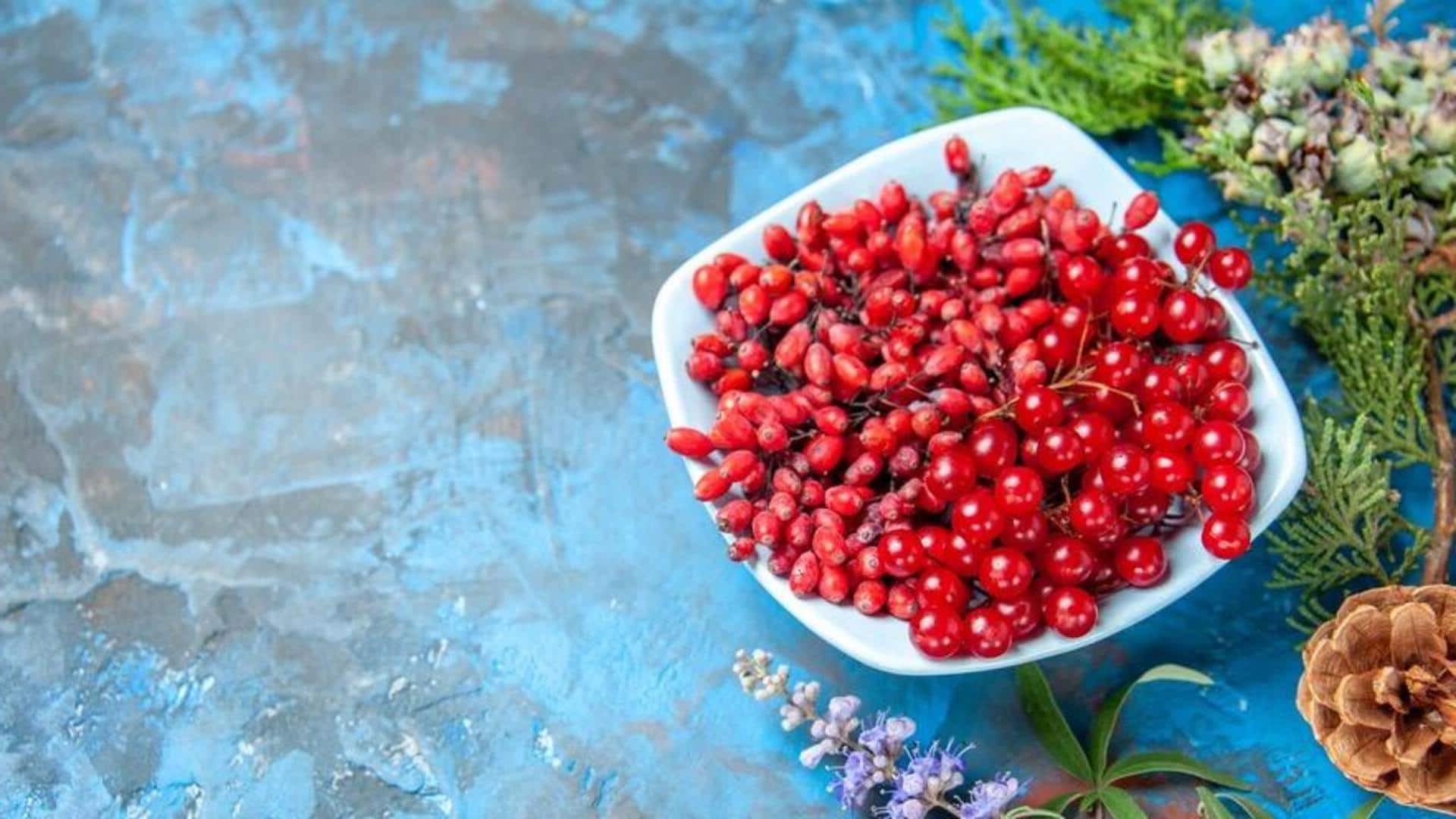 20-facts-about-bearberry-extract