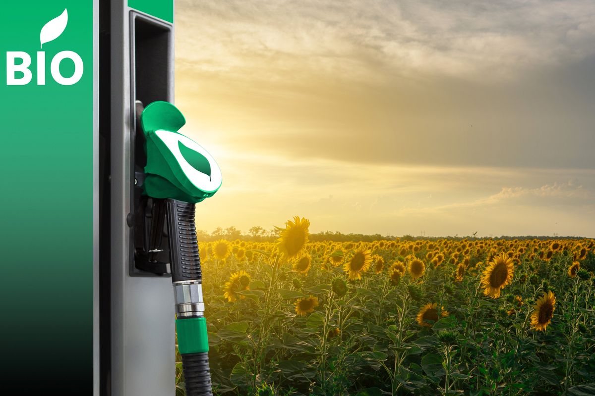 20-facts-about-biofuel