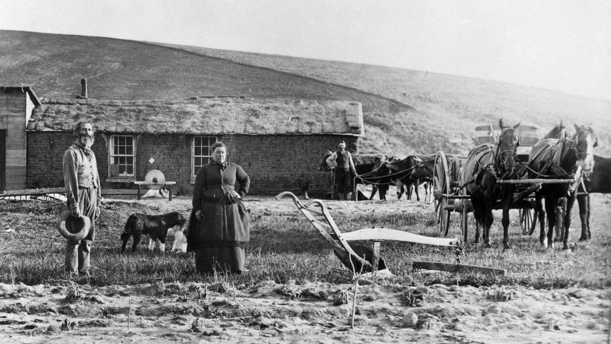 20-facts-about-homestead-act