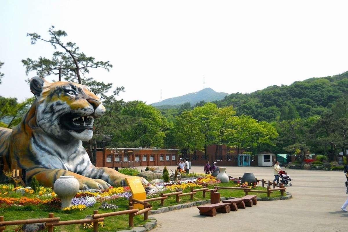 20-facts-about-seoul-grand-park-zoo