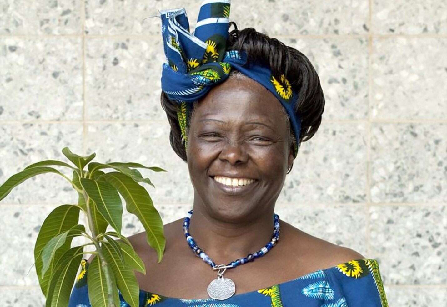 20-facts-about-wangari-maathai