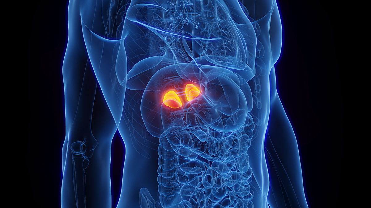 25-facts-about-adrenal-adenoma