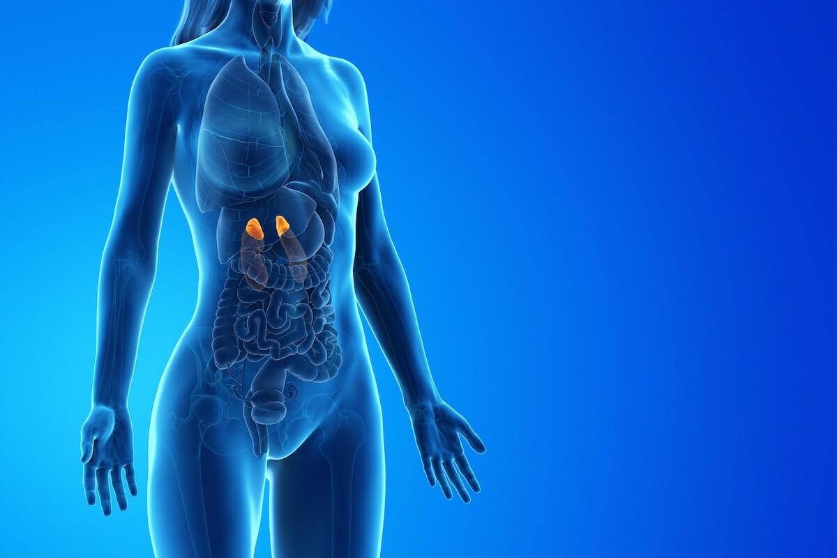 25-facts-about-adrenal-cancer