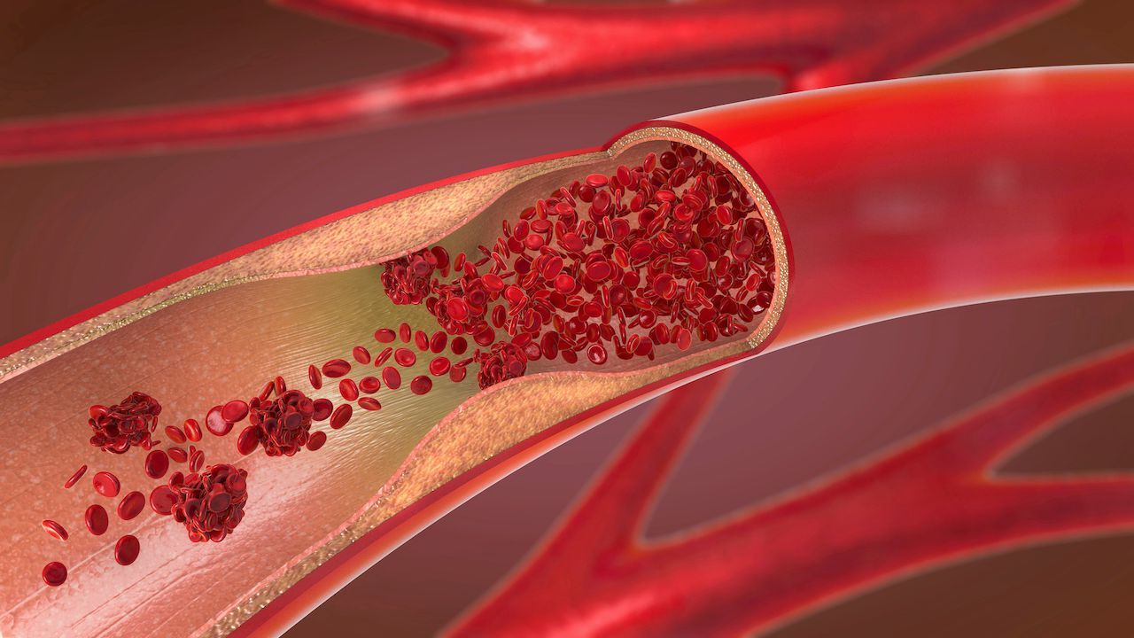 25-facts-about-blood-vessels