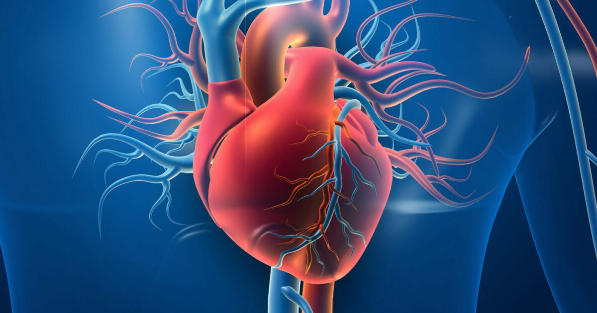 25-facts-about-cardiovascular-syndrome