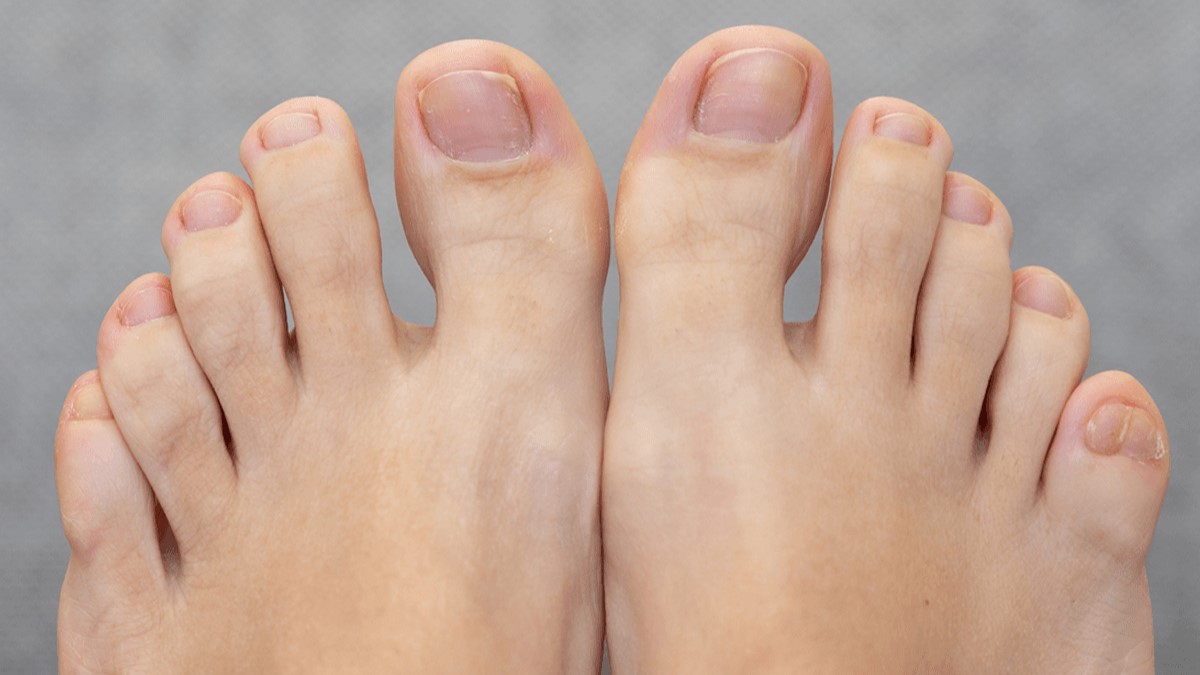 29-facts-about-toes