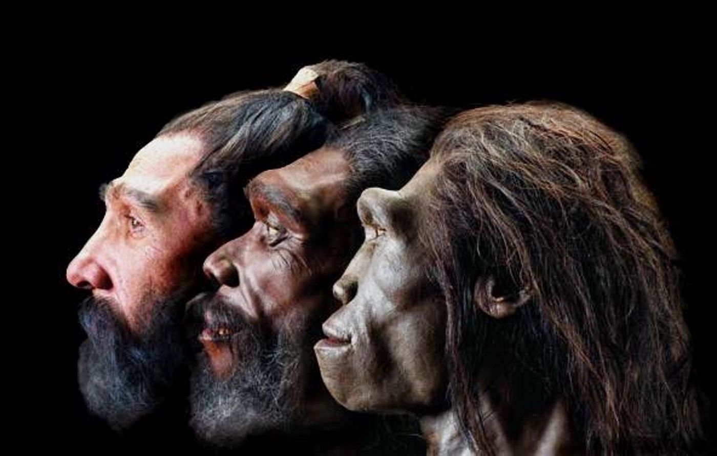 30-facts-about-human-evolution-mysteries