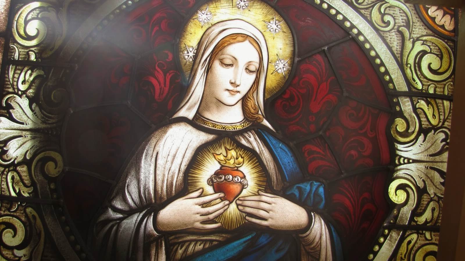 30-facts-about-immaculate-heart-of-mary