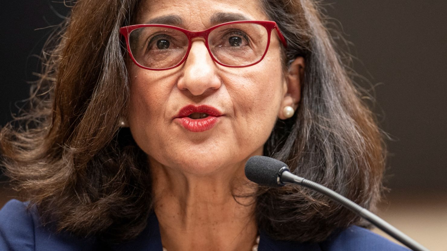 30-facts-about-minouche-shafik