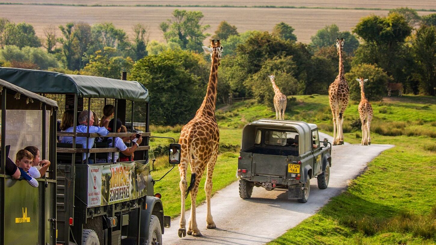 30-facts-about-port-lympne