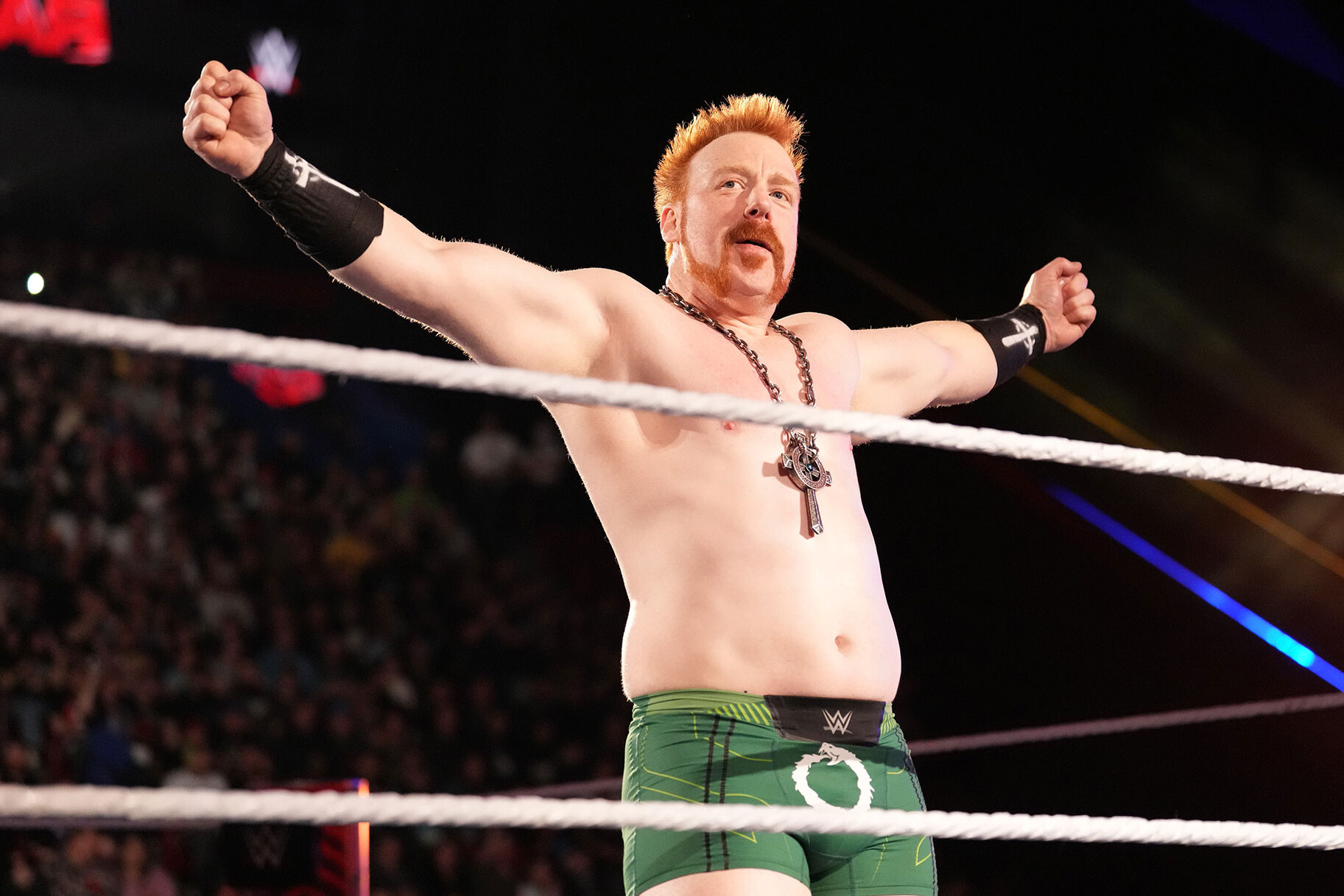 30-facts-about-sheamus