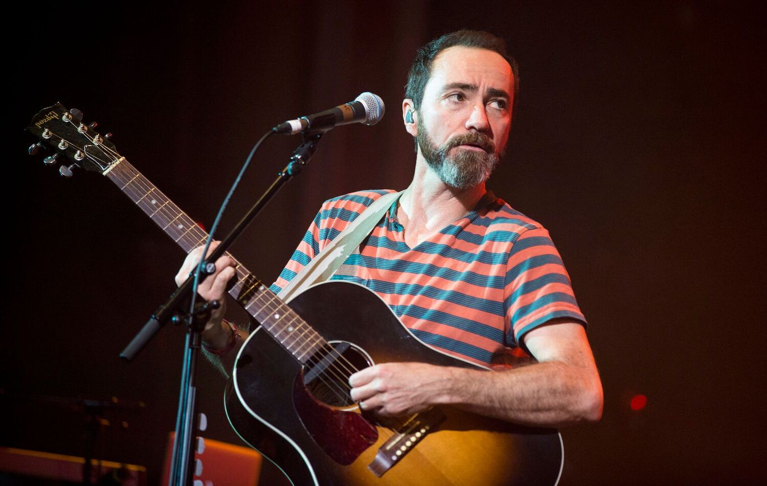30-facts-about-the-shins