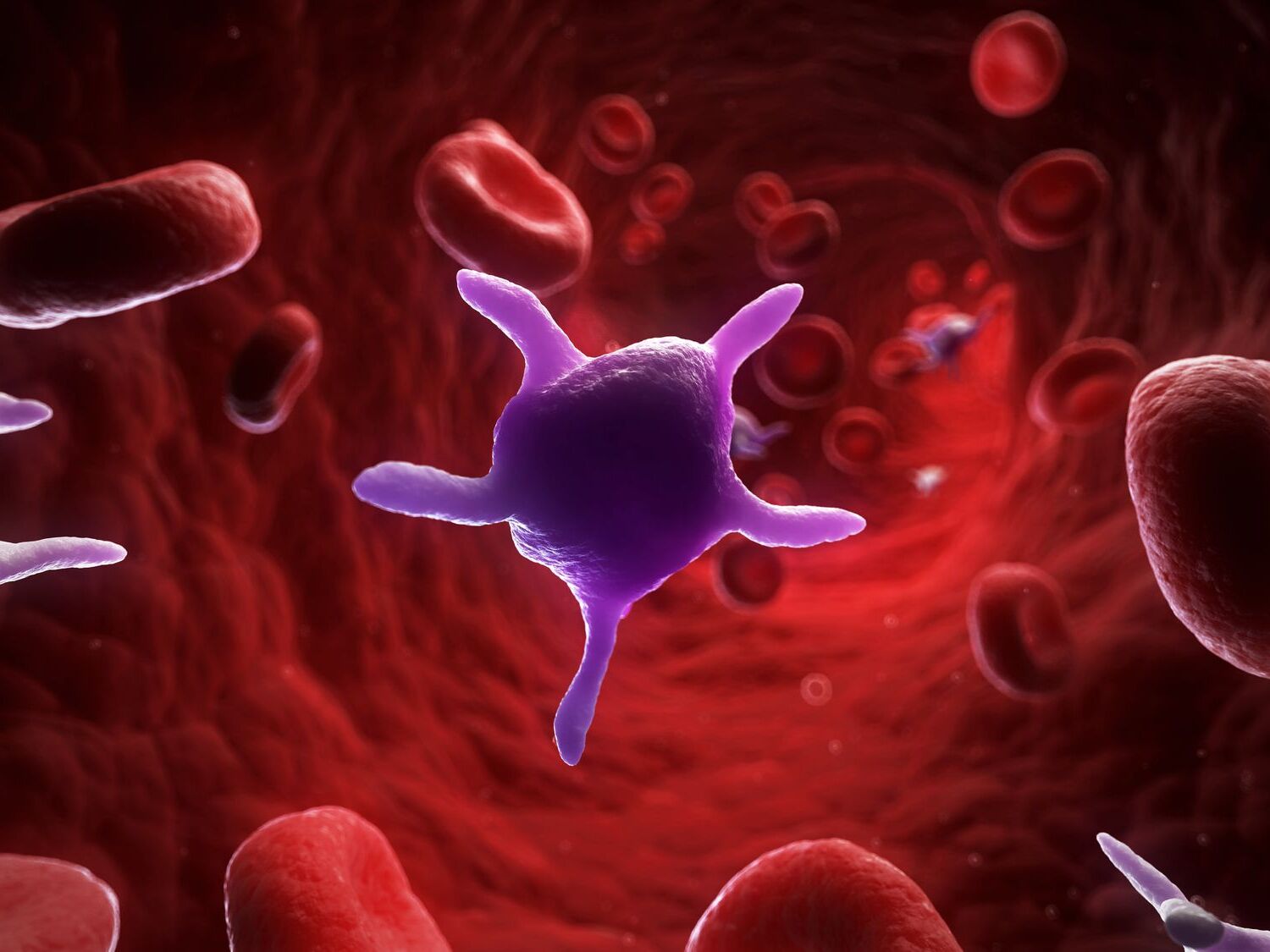 32-facts-about-platelets-thrombocytes