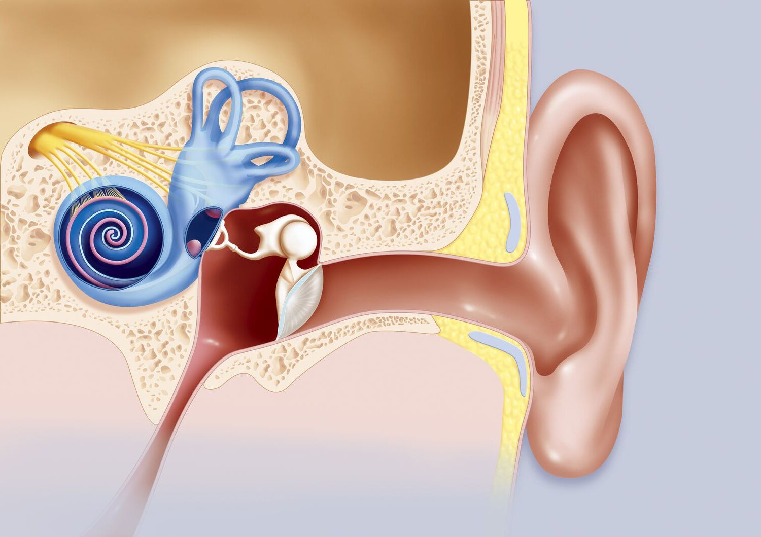 35-facts-about-acoustic-neuroma