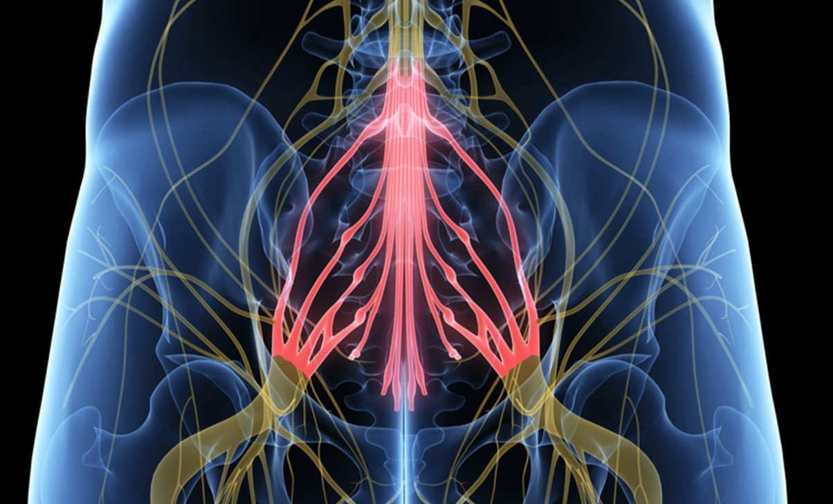 35-facts-about-cauda-equina-syndrome