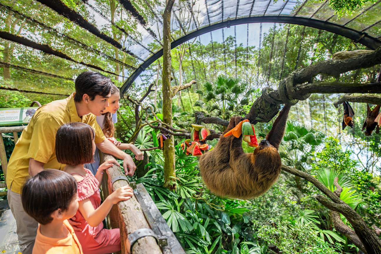 36-facts-about-singapore-zoo