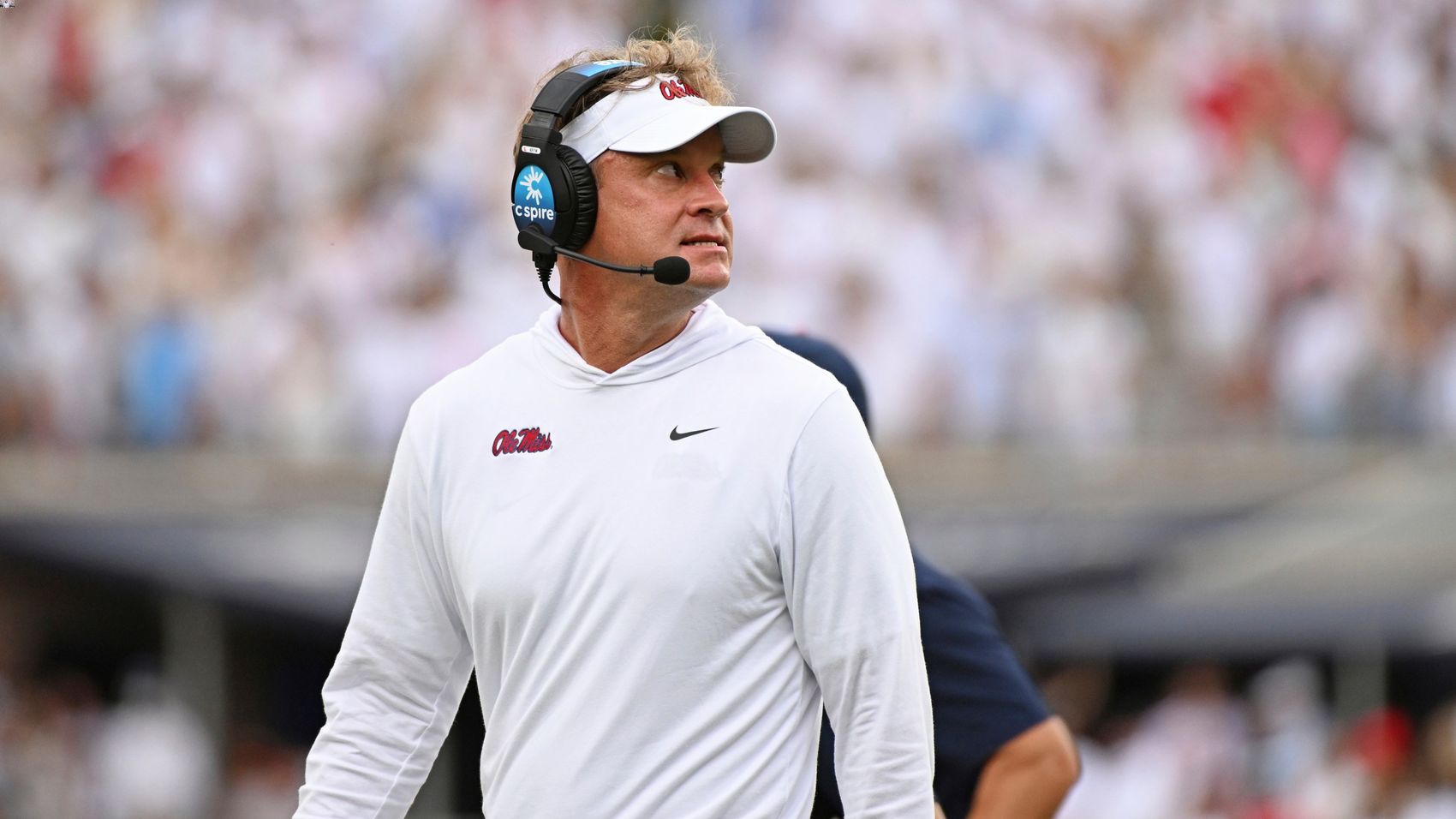 40 Fact About Lane Kiffin - Animal Favorite Foods