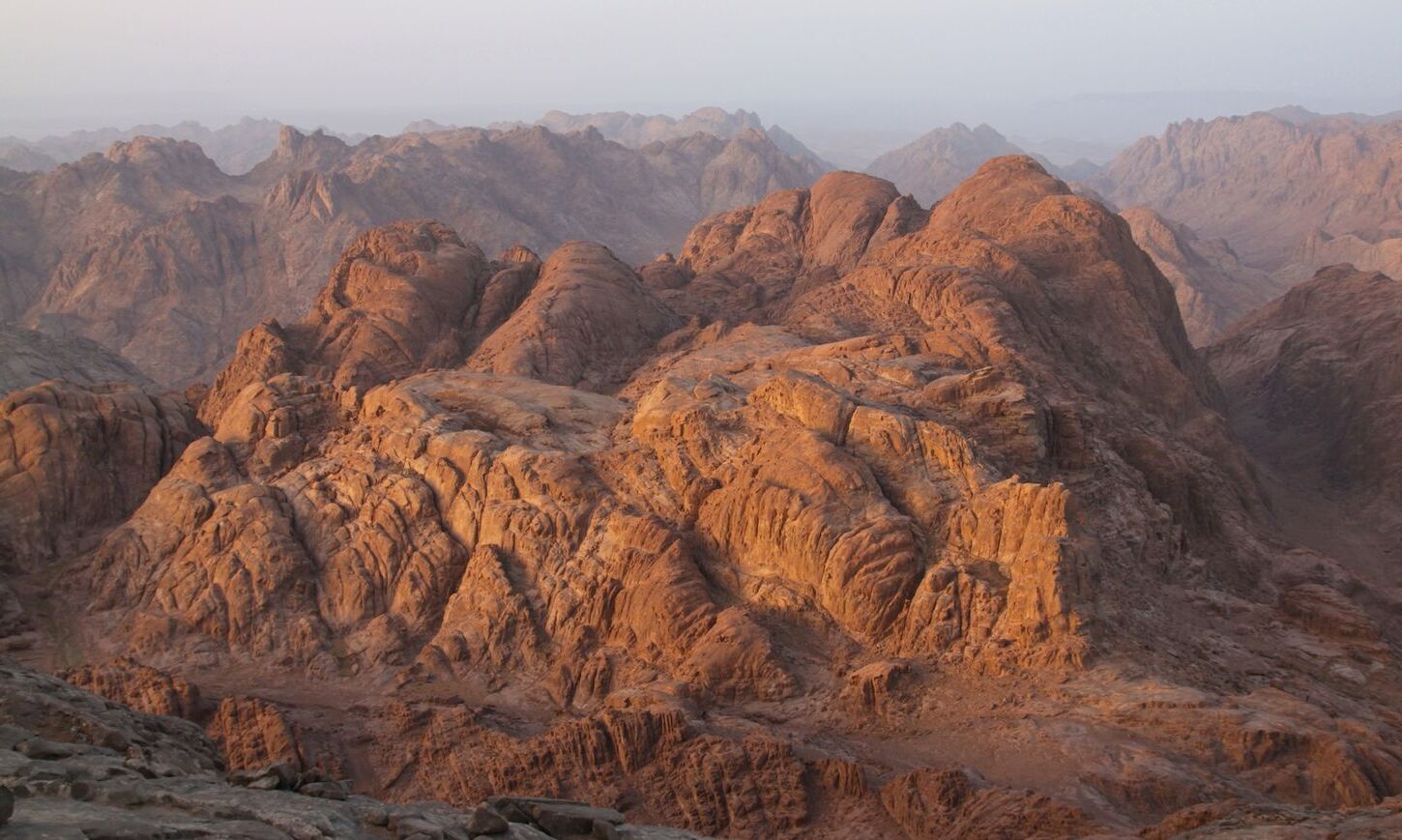 40-facts-about-mount-sinai