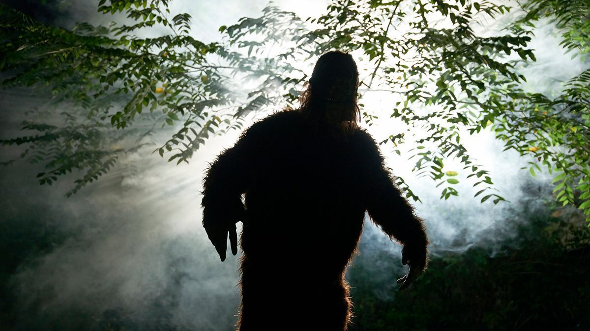 50-facts-about-bigfoot