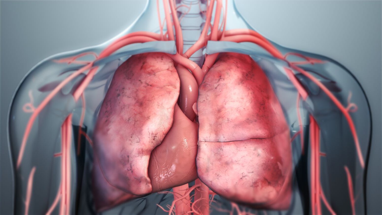 50-facts-about-lungs