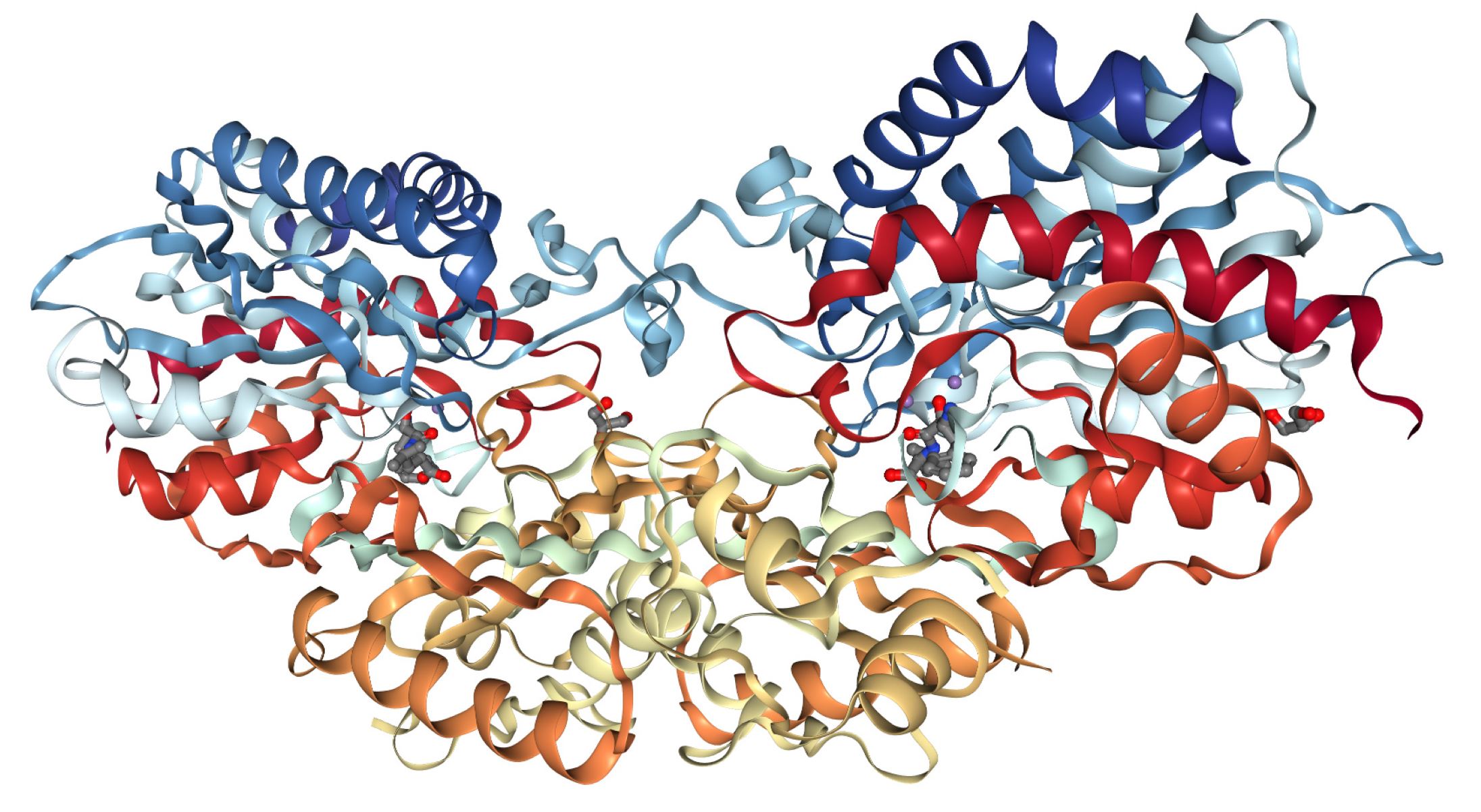 20-facts-about-carnosinase-deficiency