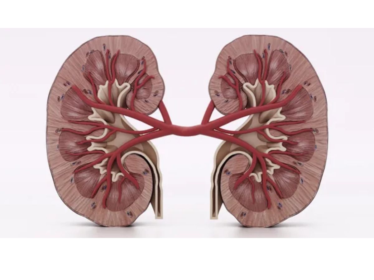 25-facts-about-chromophobe-renal-carcinoma