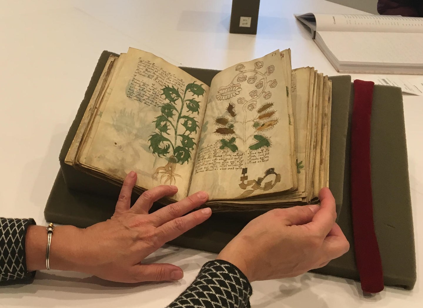 25-facts-about-the-voynich-manuscript