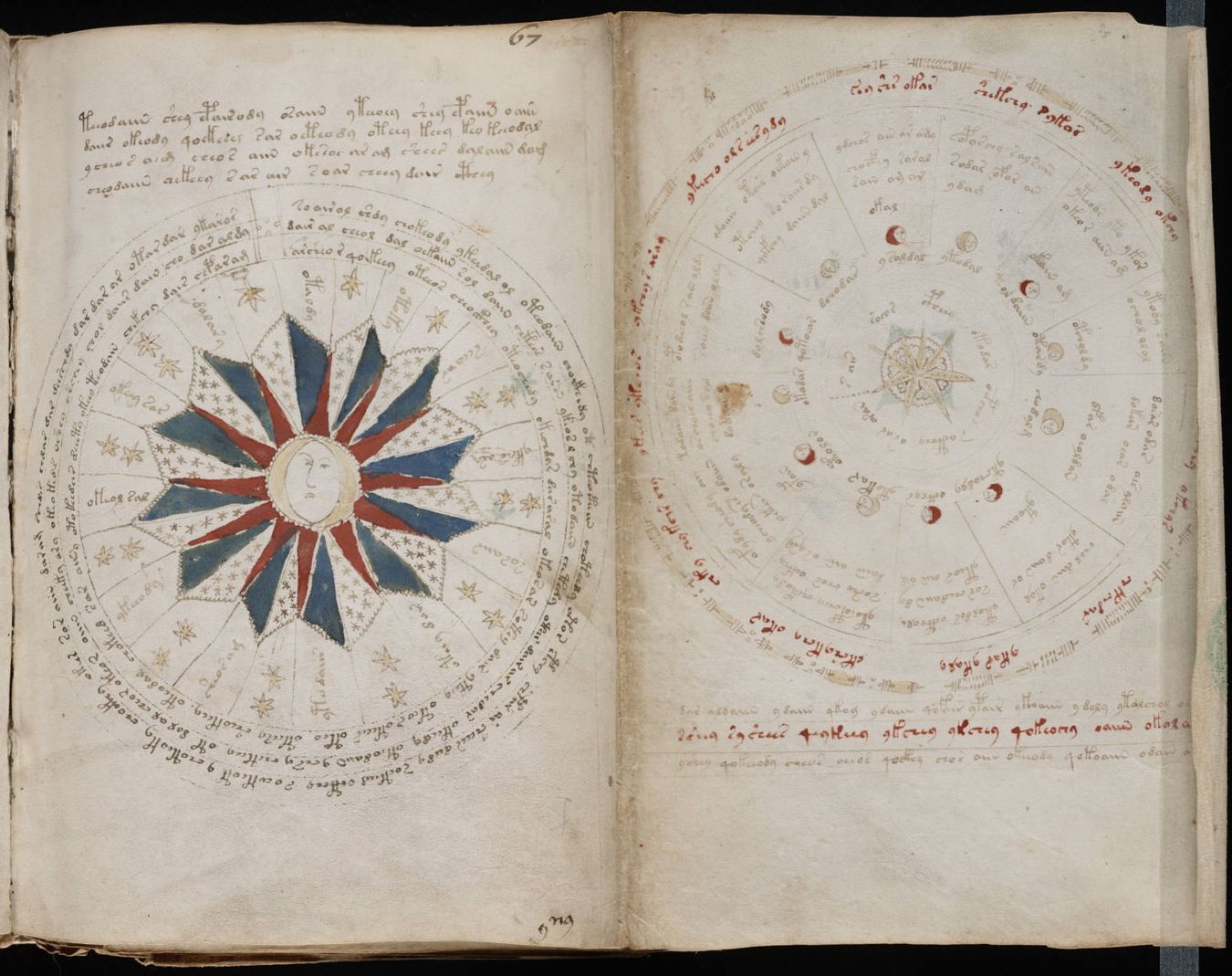 25-facts-about-voynich-manuscript-theories