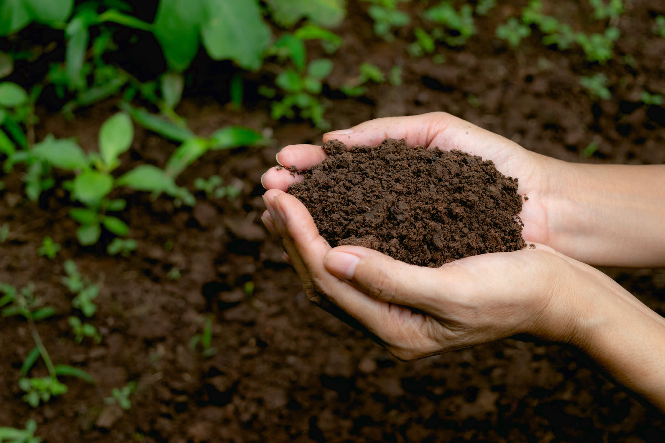 26-facts-about-soil-health