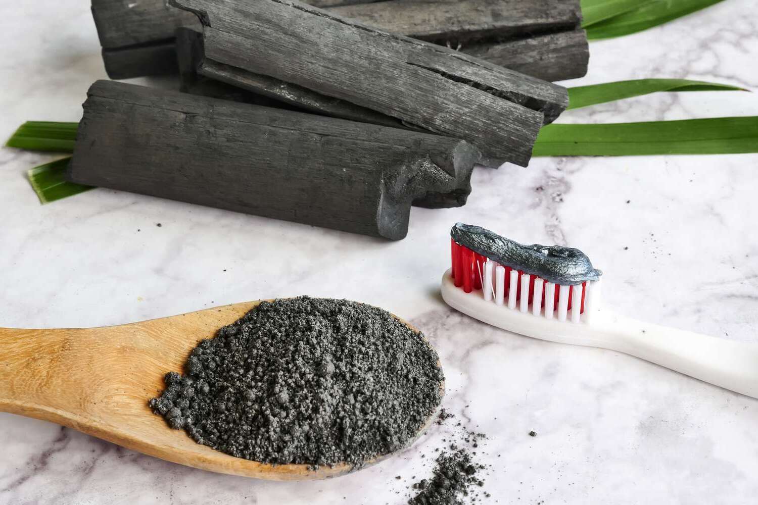 27-facts-about-activated-charcoal