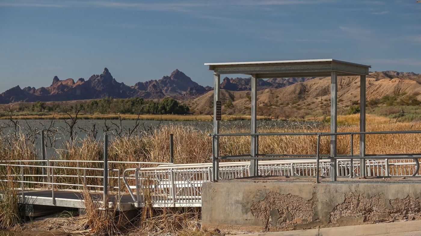 30-facts-about-catfish-paradise-arizona-city