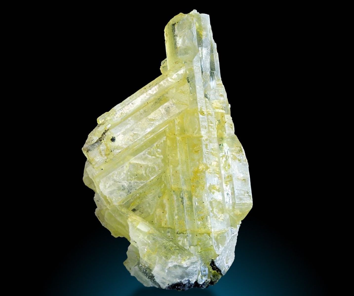 30-facts-about-charlesite