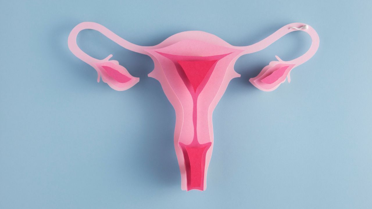 30-facts-about-congenital-absence-of-the-uterus-and-vagina