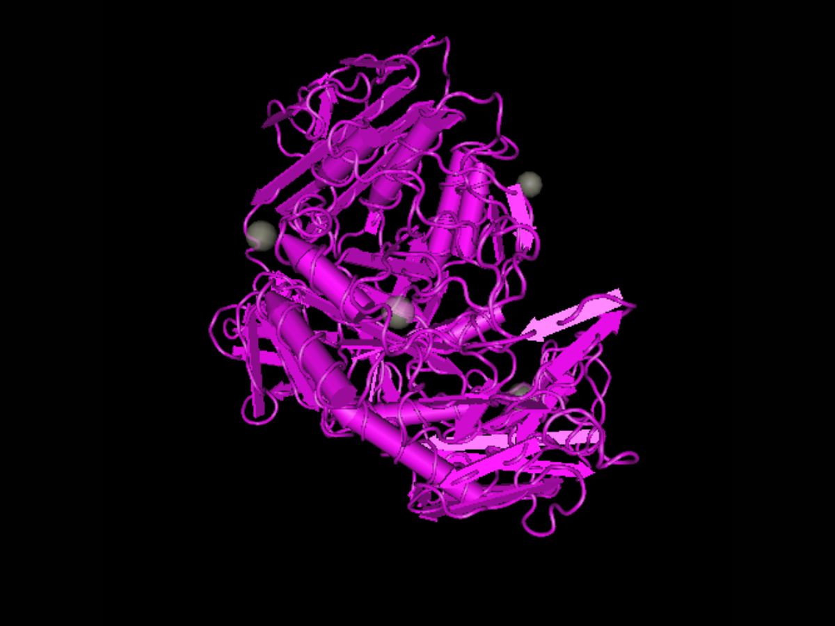 30-facts-about-cyclodextrin-glycosyltransferase