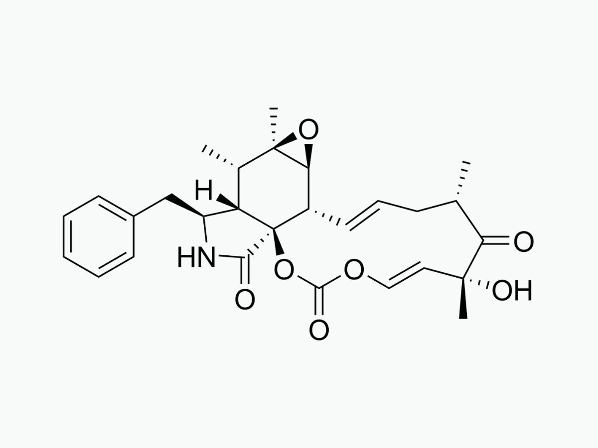 30-facts-about-cytochalasin-e