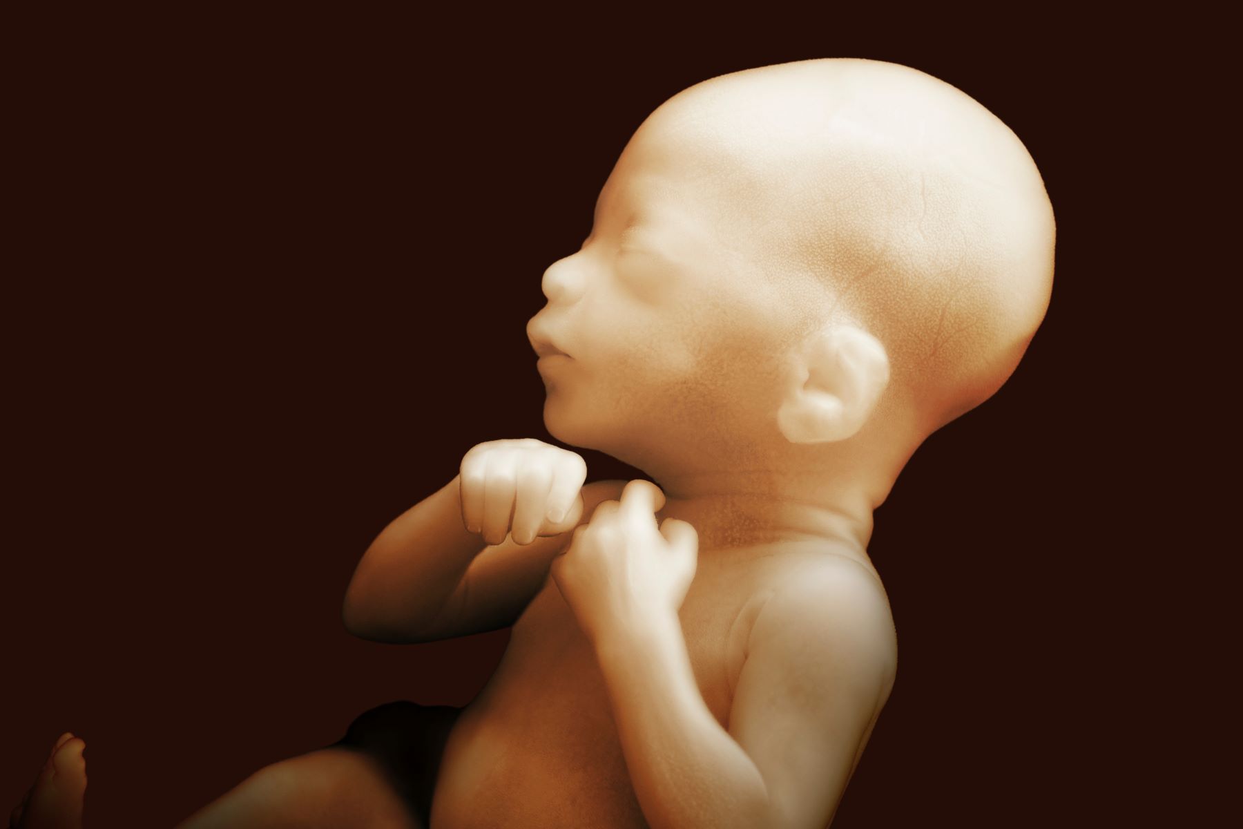 30-facts-about-fetal-methyl-mercury