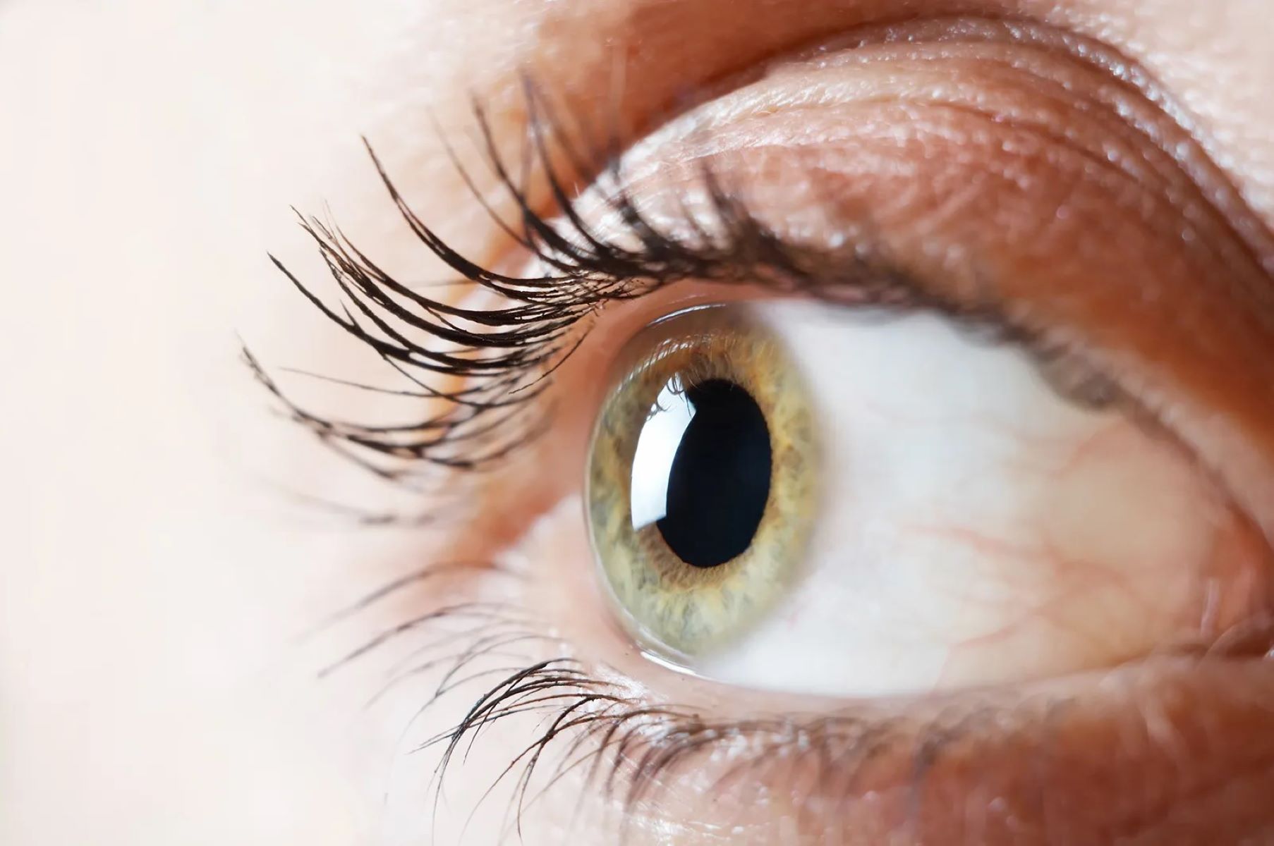 30-facts-about-spastic-ataxia-corneal-dystrophy-syndrome