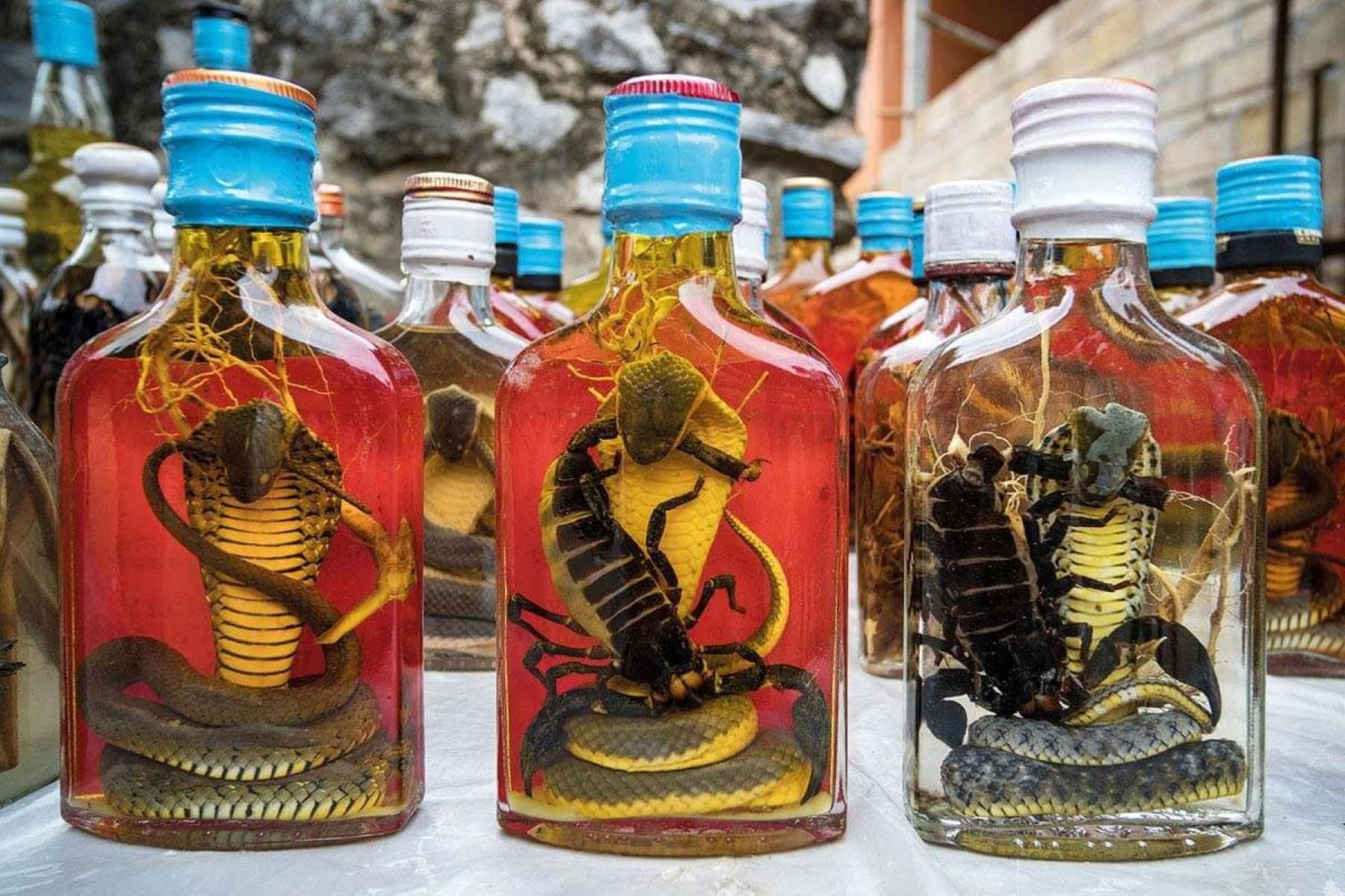 34-facts-about-snake-wine