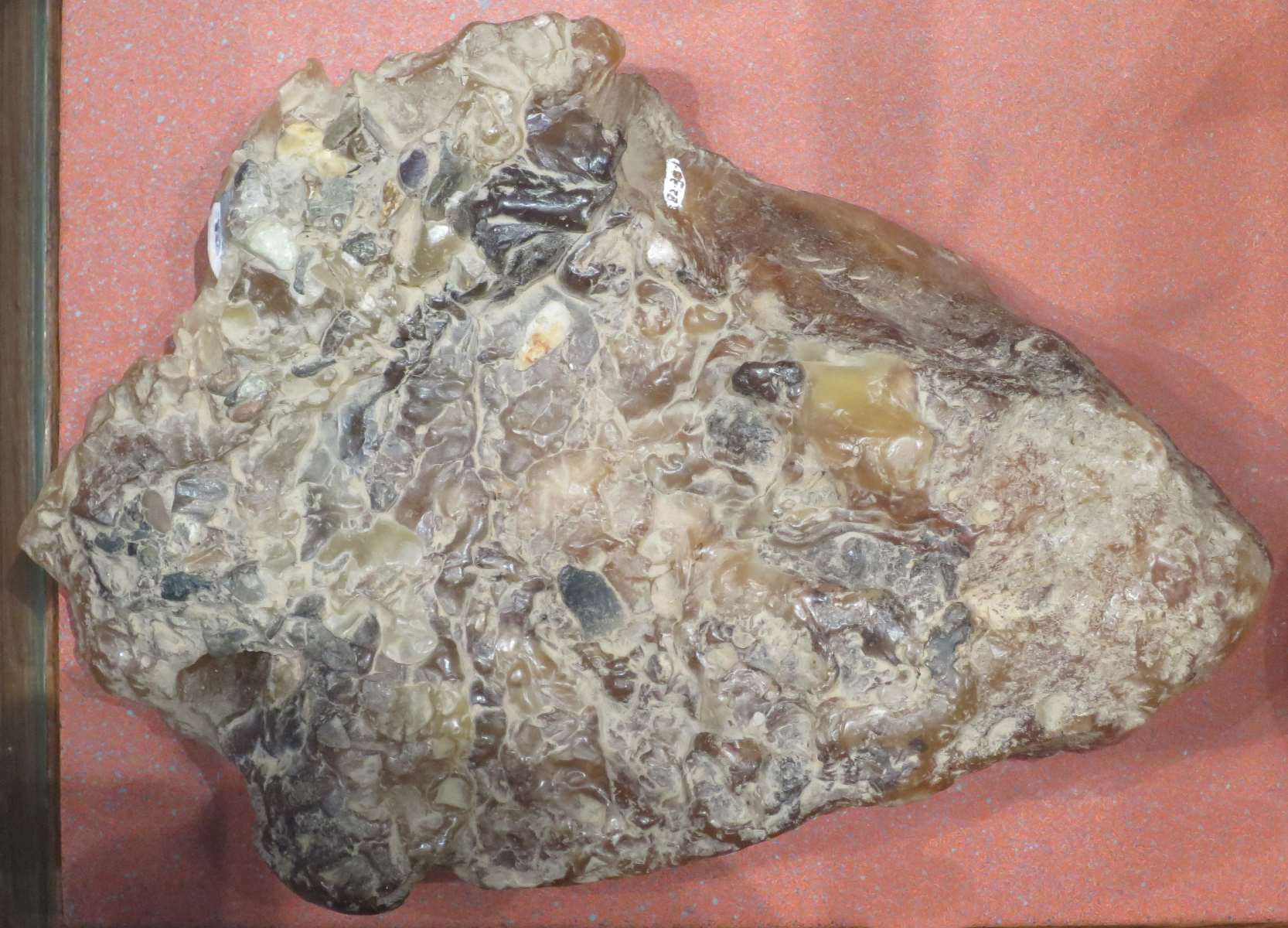 35-facts-about-ambergris-discovery