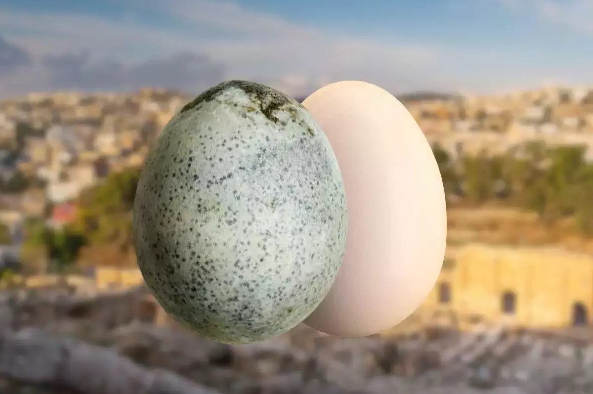 35-facts-about-ancient-roman-eggs