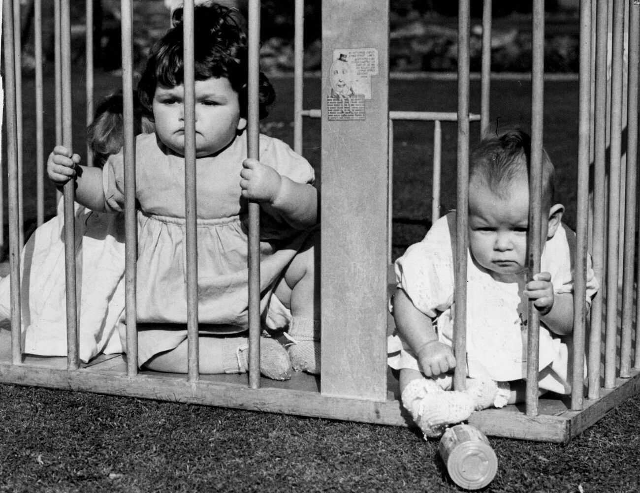 35-facts-about-baby-cages